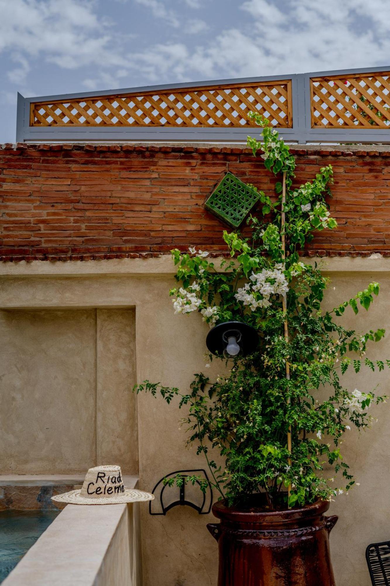 Riad Celema & Spa Marrakesh Exterior photo